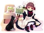  artist_request brown_hair cat copyright_request couch cup kobayashi_chisato lamp maid pillow red_eyes short_hair sitting table teacup teapot thigh-highs thighhighs 