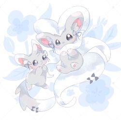  blush bow cinccino closed_mouth commentary_request evolutionary_line grey_eyes highres minccino no_humans no_sclera open_mouth pokemon pokemon_(creature) ribbon shiu_224 tail tail_bow tail_ornament 