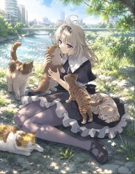 1girl black_dress black_ribbon black_shoes blue_sky casual cat city commentary_request cuddling dress grass grey_hair highres long_hair meitantei_precure! moria_luluka precure ribbon river shoes sitting sky socks solo violet_eyes yamamoto_kazue 