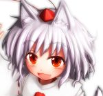  animal_ears clses fang hat inubashiri_momiji looking_at_viewer open_mouth portrait profile red_eyes short_hair smile solo tokin_hat touhou white_background white_hair wolf_ears 