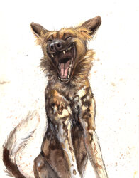  absurdres african_wild_dog animal_focus brown_fur closed_eyes highres kenket no_humans open_mouth original realistic simple_background solo tail two-tone_fur white_background white_fur 