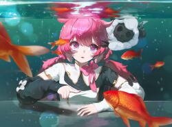  1girl absurdres black_dress blue_eyes bow chinese_commentary cloudy_(wuthering_waves) commentary_request detached_sleeves dress encore_(wuthering_waves) fish highres long_hair looking_at_animal multicolored_dress nick_laojiao pink_bow pink_hair pink_pupils solo symbol-shaped_pupils white_dress wuthering_waves 
