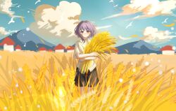  1girl absurdres artist_request bang_dream! bang_dream!_it's_mygo!!!!! black_shorts blue_sky chinese_commentary clouds commentary_request commission day field highres holding_wheat looking_at_viewer outdoors pink_eyes purple_hair second-party_source shirt short_hair short_sleeves shorts simple_bird sky smile solo standing summer wheat_field white_shirt wind yuutenji_nyamu 