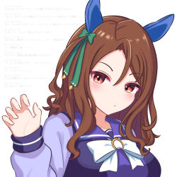  1girl :d animal_ears back_bow blush blush_stickers bow bowtie breasts brown_hair commentary_request dot_nose ear_covers green_bow green_ribbon hair_between_eyes hair_ribbon horse_ears horse_girl horse_tail horseshoe_ornament king_halo_(umamusume) long_hair long_sleeves looking_at_viewer makarun_sky medium_breasts one_side_up purple_sailor_collar purple_shirt red_eyes ribbon sailor_collar school_uniform serafuku shirt sidelocks simple_background smile solo swept_bangs tail tracen_school_uniform umamusume upper_body wavy_hair white_background white_bow white_bowtie winter_uniform 