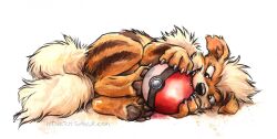  artist_name claws growlithe kenket no_humans orange_fur poke_ball poke_ball_(basic) pokemon pokemon_(creature) realistic simple_background solo tail two-tone_fur web_address white_background white_fur 