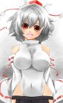  breasts detached_sleeves fang hat impossible_clothes impossible_leotard inubashiri_momiji large_breasts red_eyes smile sorato_jun touhou wolf_ears 