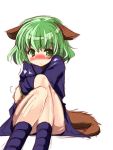  animal_ears blush dress green_eyes green_hair kasodani_kyouko purple_dress short_hair sitting solo tail takara_akihito touhou 