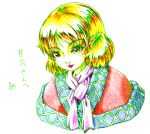  bad_id face feconf lips mizuhashi_parsee pointy_ears portrait solo touhou traditional_media 