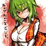  breasts bust cleavage collarbone green_hair kazami_yuuka large_breasts red_eyes roki_(hirokix) rough short_hair smile solo sweat touhou translated translation_request wink youkai 