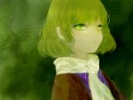  :&lt; amerimeno blonde_hair bust green green_background green_eyes mizuhashi_parsee pointy_ears scarf short_hair solo touhou 