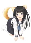  1girl all_fours animal_ears bangs black_hair blunt_bangs chitanda_eru dog_ears dog_tail hyouka kemonomimi_mode kuro_(chrono) long_hair looking_at_viewer open_mouth purple_eyes school_uniform serafuku simple_background smile socks solo tail violet_eyes white_background 