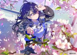  1girl ahoge ashima_(roro046) black_hair black_jacket blurry cherry_blossoms closed_mouth collared_shirt commentary_request copyright_name copyright_notice crop_top depth_of_field double-parted_bangs ear_piercing hair_between_eyes ichinose_uruha ichinose_uruha_(4th_costume) jacket official_alternate_costume official_alternate_hairstyle official_art piercing sample_watermark shirt smile solo violet_eyes virtual_youtuber vspo! watermark white_shirt 