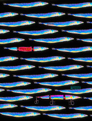  absurdres animal animal_focus artist_name black_background colorful commentary corrodedparadox dated_commentary dead_animal english_commentary fish fish_hook full_body highres no_humans no_lineart original patterned saturated simple_background solid_circle_eyes star_(symbol) surreal too_many too_many_fish watermark 