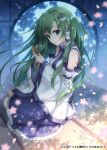  an2a blurry cherry_blossoms comb combing depth_of_field detached_sleeves frog green_eyes green_hair hair_ornament hair_tubes kochiya_sanae petals round_window sitting snake solo tatami touhou tree_shade window yokozuwari 