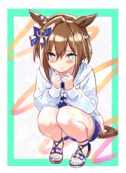  1girl absurdres animal_ears blue_eyes blue_nails blue_shorts blush border bright_pupils brown_hair brown_sandals cheval_grand_(summer_calm_navy_drop)_(umamusume) cheval_grand_(umamusume) closed_mouth commentary_request double-parted_bangs full_body hair_between_eyes hands_up highres hood hood_down hoodie horse_ears horse_girl horse_tail kanon_(floralcanon) long_sleeves looking_at_viewer multicolored_hair nail_polish open_clothes open_hoodie outside_border sandals short_hair shorts single_hair_intake solo squatting streaked_hair tail toenail_polish toenails umamusume white_border white_hoodie white_pupils white_streaks 