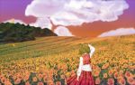  arm_up black_bitou cloud clouds dress_shirt flower forest from_behind green_hair horizon kazami_yuuka landscape long_sleeves nature petals plaid plaid_skirt plaid_vest shirt short_hair skirt sky solo sunflower touhou wind youkai 