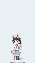  1girl animal animal_on_head armband axolotl basori_tiara black_hair black_thighhighs blue_armband blue_bow blue_bowtie blue_eyes blunt_bangs blush bow bowtie brown_shoes chibi closed_mouth commentary_request full_body grey_background grey_skirt hair_bun highres imigimuru looking_at_viewer make_heroine_ga_oo_sugiru! medium_hair mole mole_on_neck official_art official_wallpaper on_head pleated_skirt pout school_uniform shoes simple_background skirt solo standing thigh-highs tsuwabuki_high_school_uniform white_bow white_bowtie 