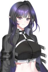 1girl absurdres armband asymmetrical_hair belt belt_buckle black_armband black_eyes black_hair black_jacket black_shirt black_trim blue_eyes blunt_bangs blunt_ends blunt_sidelocks chest_harness closers commentary_request crop_top cropped_jacket dot_nose ears_visible_through_hair eyelashes gradient_hair grey_belt grey_eyes grey_jacket grey_shirt hair_intakes harness highres jacket long_sleeves looking_at_viewer midriff midriff_peek multicolored_eyes navel non-web_source open_clothes open_jacket parted_lips pointy_ears purple_hair red_eyes shirt sidelocks simple_background single_sidelock single_stripe solo sparkle sparkling_eyes standing striped tachi-e triss_(closers) turtleneck turtleneck_jacket turtleneck_shirt two-tone_hair two-tone_jacket upper_body v-shaped_eyebrows very_long_hair white_background white_belt white_trim