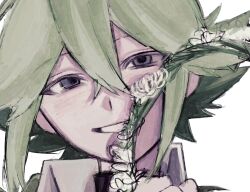  1boy blue_eyes close-up collared_shirt commentary_request double-parted_bangs flower flower_wreath green_hair grin hair_between_eyes highres looking_at_viewer madai_(si_202) male_focus n_(pokemon) pokemon pokemon_black_and_white shirt smile solo unfinished white_background white_flower white_shirt wing_collar 