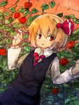  blonde_hair chainlink_fence chinese_lantern ground_cherry hair_ribbon looking_away murani plant red_eyes ribbon rumia short_hair solo touhou wire youkai 