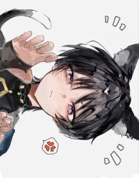  1boy animal_ears black_bodysuit black_bridal_gauntlets black_hair blue_cape blunt_ends bodysuit bridal_gauntlets cape cat_boy cat_ears cat_tail claw_pose closed_mouth curled_fingers genshin_impact glint gold_ring hands_up highres japanese_clothes kimono looking_at_viewer male_focus mandarin_collar middle_ring notice_lines pof_h0 scaramouche_(genshin_impact) shoulder_peek side_cape sideways solo tail tsurime v-shaped_eyebrows violet_eyes wanderer_(genshin_impact) white_background white_kimono wispy_bangs 