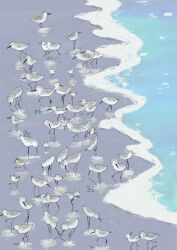  animal animal_focus beach bird commentary from_above grey_bird highres long_beak momoro no_humans ocean original sandpiper standing water 