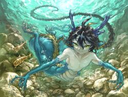 1boy absurdly_long_hair absurdly_long_tail animal animal_ear_fluff animal_feet animal_hands bifuteki_(bi_futeki) black_hair braid braided_ponytail claws commentary_request dragon_boy dragon_ears dragon_horns dragon_tail eastern_dragon_horns eastern_dragon_tail fish full_body highres horns long_hair male_focus monster_boy original solo swimming tail underwater very_long_hair very_long_tail water yellow_eyes 