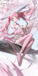  1girl absurdly_long_hair absurdres bare_shoulders boots cherry_hair_ornament collared_shirt commentary detached_sleeves emduck food-themed_hair_ornament hair_ornament hands_up hatsune_miku highres in_tree long_hair long_sleeves looking_to_the_side outdoors parted_lips pink_boots pink_hair sakura_miku shirt sitting sitting_in_tree skirt sleeveless sleeveless_shirt solo thigh_boots tree twintails untranslatable_commentary very_long_hair vocaloid white_shirt 