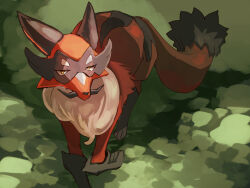  animal_focus commentary_request fusenryo looking_at_viewer neck_fur no_humans one-hour_drawing_challenge orange_fur pokemon pokemon_(creature) pokemon_focus tail thievul yellow_eyes 