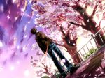  brown_hair cherry_blossoms ipod keishi male original short_hair sky tree 