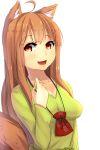  ahoge animal_ears breasts brown_hair holo long_hair magister_(bigbakunyuu) open_mouth pouch red_eyes smile solo spice_and_wolf tail wolf_ears wolf_tail 