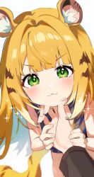  1girl 1other :3 animal_ear_fluff animal_ears bare_shoulders blonde_hair blurry blurry_background blush closed_mouth commentary green_eyes grey_shirt highres holding_hands inuyama_nanami ju_fufu long_hair looking_at_viewer orange_fur pov pov_hands shirt sparkle sparkling_eyes striped_fur striped_hair tail tiger_ears tiger_girl tiger_stripes tiger_tail v-shaped_eyebrows white_background zenless_zone_zero 