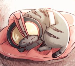  animal_focus artist_name cat closed_eyes closed_mouth commentary_request dated faiz_driver full_body highres kamen_rider kamen_rider_555 kamen_rider_faiz no_humans pillow rider_belt sleeping tonteki555 