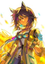  1girl animal_ears black_gloves brown_eyes brown_hair coat commentary ear_covers fingerless_gloves from_below gloves goggles goggles_around_neck hair_between_eyes highres horse_ears horse_girl long_hair looking_at_viewer looking_down luhuayoushiyiy1 multicolored_hair simple_background smile solo stay_gold_(sunlit_outsider)_(umamusume) stay_gold_(umamusume) umamusume white_background white_hair yellow_coat 