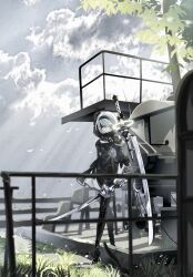  1girl 2b_(nier:automata) black_dress black_hairband blindfold clouds dress grass hairband highres holding holding_sword holding_weapon long_sleeves nier:automata nier_(series) outdoors photo_background short_hair simple_bird solo sword walking weapon white_hair yue_yuan_zhi_ye_ren_bu_gui 