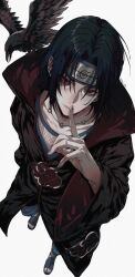  1boy akatsuki_uniform bird black_bird black_hair black_pants closed_mouth commentary_request crow curtained_hair eyelashes fingernails fishnet_top fishnets forehead-to-forehead full_body heads_together highres index_finger_raised jewelry konohagakure_symbol looking_at_viewer male_focus naruto_(series) naruto_shippuuden necklace pants parted_lips red_eyes short_hair sign_s08 simple_background solo standing teeth toeless_legwear twitter_username uchiha_itachi white_background 