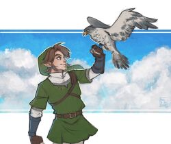  1boy armor artist_name belt bird blue_eyes border brown_belt brown_hair chainmail earrings fingerless_gloves gloves green_hat green_tunic hat hawk hero_of_badass jewelry letterboxed link male_focus pants phrygian_cap pointy_ears shirt short_hair single_arm_guard smile solo swept_bangs the_legend_of_zelda the_legend_of_zelda:_twilight_princess tunic upper_body white_border white_pants white_shirt 