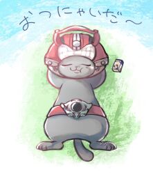  animal_focus arms_behind_head cat closed_eyes commentary_request drive_driver food-themed_hair_ornament full_body hair_ornament highres kamen_rider kamen_rider_drive kamen_rider_drive_(series) kamen_rider_drive_(type_speed) lying no_humans on_side rider_belt tonteki555 translation_request 