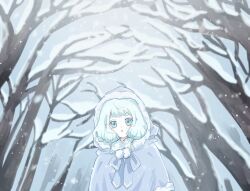  1girl :o aqua_eyes aqua_hair bare_tree blue_capelet capelet commentary_request day fur-trimmed_hood fur_trim grey_sky hair_over_shoulder hatopippi45 highres hood hood_up hooded_capelet long_hair looking_at_viewer low-tied_long_hair low_twintails original outdoors parted_lips pom_pom_(clothes) short_eyebrows sky snow snow_on_tree snowing solo thick_eyebrows tree twintails upper_body winter 