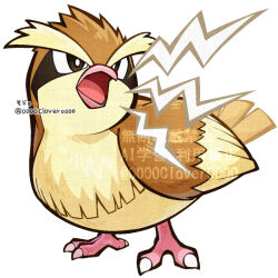  04sora40 beak bird black_eyes no_humans open_mouth pidgey pokemon pokemon_(creature) pokemon_focus pokemon_move standing talons white_background 