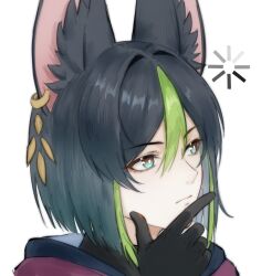  1boy animal_ear_fluff animal_ears aqua_eyes black_gloves black_hair black_hoodie brown_eyes closed_mouth commentary_request earrings fox_boy fox_ears genshin_impact gloves green_hair hair_between_eyes highres hood hoodie jewelry liuzazsl male_focus multicolored_eyes multicolored_hair short_hair single_earring solo streaked_hair tighnari_(genshin_impact) two-tone_eyes 
