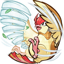  04sora40 beak bird feathered_wings flying gust_(pokemon) no_humans pidgeotto pokemon pokemon_(creature) pokemon_focus pokemon_move talons white_background wings 