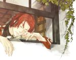  book closed_eyes eyes_closed gensou_suikoden gensou_suikoden_ii kaburaya male plant red_hair redhead seed_(suikoden) short_hair sleeping window 