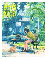  1girl 456_(456log) animal bench black_sandals border breasts cat chinese_commentary chinese_text commentary_request cover cover_page crew_neck day from_side full_body green_hair green_shirt grey_shorts highres holding holding_phone on_bench orange_cat original outdoors palm_leaf park park_bench phone sandals shadow shirt short_hair short_sleeves shorts sitting solo t-shirt taking_picture translation_request tree urban white_border 