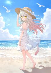  1girl absurdres alternate_costume animal_ear_fluff animal_ears arm_at_side arm_up bare_shoulders barefoot beach bird blue_sky blush bow cat_ears cat_girl cat_tail clanney closed_mouth clouds commentary_request commission cumulonimbus_cloud day dress feet floating_hair from_behind full_body gradient_hair grey_hair hair_between_eyes hat hat_bow highres kneepits kuro_(sakura_moyu) lens_flare long_hair looking_at_viewer looking_back multicolored_hair ocean outdoors pink_hair pixiv_commission sakura_moyu seagull shadow short_dress sky sleeveless sleeveless_dress slit_pupils soles solo straw_hat sun sun_hat sundress sunlight tail toes waves white_bird white_bow white_dress yellow_eyes 
