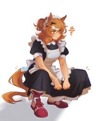  1girl absurdres ahoge animal_ears apron black_dress blush breasts brown_hair calamity_brezze closed_mouth commentary dress english_commentary hair_between_eyes hair_ornament hairclip highres horse_ears horse_girl horse_tail jungle_pocket_(umamusume) maid maid_apron maid_headdress medium_hair notched_ear pants pants_under_dress red_pants short_sleeves small_breasts solo squatting tail umamusume white_apron white_headdress yellow_eyes 