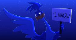  1boy beak bird commentary coyote_vs._acme english_commentary english_text feathered_wings highres holding holding_sign looney_tunes night rayalltheway road_runner_(looney_tunes) roadrunner_(animal) scene_reference sign sky smile star_(sky) starry_sky the_amazing_digital_circus wings 