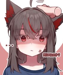  ... 1girl absurdres ahoge anger_vein animal_ear_fluff animal_ears annoyed black_hair blue_sweater bra_strap commentary crossed_bangs disembodied_hand dot_nose fox_ears fox_girl hand_on_another's_head headpat highres hololive korean_commentary kurokami_fubuki long_hair mean_0603 multicolored_hair parted_lips pink_background portrait red_eyes red_streaks shaded_face solo_focus streaked_hair sweater translated two-tone_background two-tone_hair virtual_youtuber white_background 