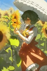  1girl absurdres ascot blue_sky closed_mouth collared_shirt commentary_request day field flower flower_field frilled_skirt frills green_hair highres holding holding_umbrella juliet_sleeves kazami_yuuka lifejam_403 long_sleeves open_clothes open_vest outdoors plaid_clothes plaid_skirt plaid_vest puffy_sleeves red_eyes red_skirt red_vest shadow shirt skirt skirt_set sky smile solo sunflower sunflower_field touhou umbrella vest white_shirt yellow_ascot yellow_flower 