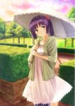  blush brown_eyes dress highres holding original ponytail purple_hair short_hair smile solo tree umbrella yoropa 